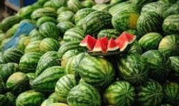 梦见卖柑子西瓜吃瓜,卖柑子西瓜，尽享甜蜜瓜果盛宴
