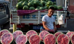 民国吃瓜看戏晋江,吃瓜看戏，晋江风云录