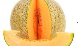 胃出血后可以吃哈密瓜吗