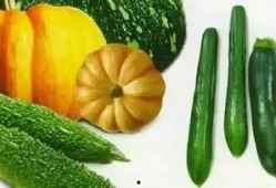 沐夏吃瓜,揭秘娱乐圈幕后故事