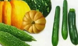 沐夏吃瓜,揭秘娱乐圈幕后故事