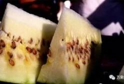 老梁吃瓜,揭秘娱乐圈幕后真相