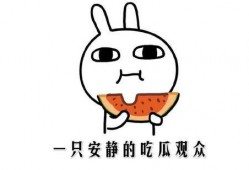 吃瓜吃瓜吃瓜什么意思,揭秘“吃瓜吃瓜吃瓜”背后的网络流行语奥秘