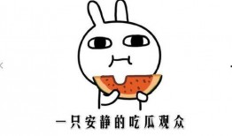 吃瓜吃瓜吃瓜什么意思,揭秘“吃瓜吃瓜吃瓜”背后的网络流行语奥秘
