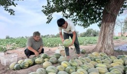 每天在吃瓜现场,揭秘娱乐圈最新热点事件