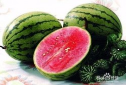 吃瓜动作多,揭秘吃瓜动作背后的趣味与智慧