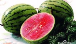 吃瓜动作多,揭秘吃瓜动作背后的趣味与智慧