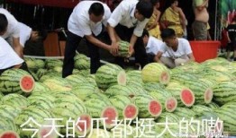 菏泽吃瓜日记,揭秘当地美食风情