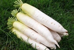 梦见吃小李瓜,揭秘吃小李瓜的神秘寓意