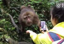 女子吃蜜瓜成猴子