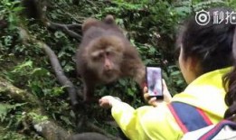 女子吃蜜瓜成猴子