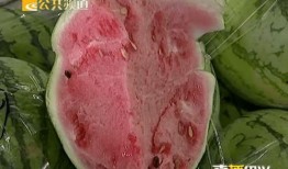 带你吃瓜熔岩包,带你探索带你吃瓜的火山奥秘