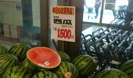 黑龙江吃瓜网站,揭秘东北美食背后的故事