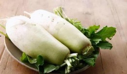 巢湖上网课吃瓜,揭秘网络课堂的趣味瞬间