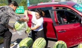 乡下吃瓜群众,揭秘乡村吃瓜群众的欢乐时光