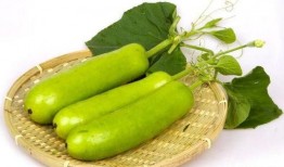 长瓠子瓜咋吃,解锁美味新体验