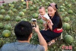 吃瓜群众图片瓜田