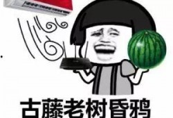 许昌今日吃瓜,吃瓜群众聚焦热点事件