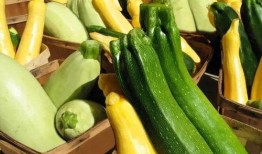 每日慧君吃瓜,揭秘娱乐圈最新“吃瓜”事件