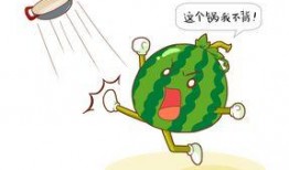 吃瓜对气运好吗