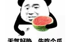 没吃明白的瓜,一场引人入胜的真相大揭秘