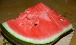 平时吃的西瓜怎么叫瓜,揭秘西瓜的别称与食用文化