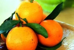 吃瓜直播橙子,揭秘网红美食背后的故事