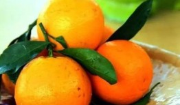 吃瓜直播橙子,揭秘网红美食背后的故事