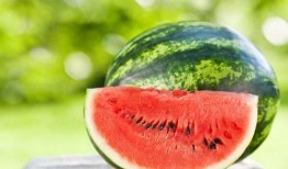 吃瓜动作多,揭秘吃瓜动作背后的趣味与智慧