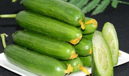 水果刺瓜怎么吃,探索刺瓜的多重吃法