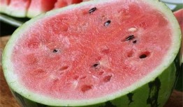 吃麒麟瓜的说说,探寻夏日消暑新宠