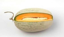 女生请我吃哈密瓜,女生请我品尝哈密瓜的美好时光