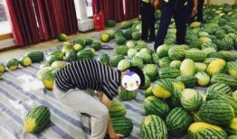 和同学吃瓜,与同学共享的欢乐时光