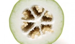 今天吃瓜有点反胃,揭秘娱乐圈背后的真相