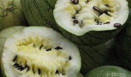 梦见吃籽瓜,揭秘吃籽瓜的神秘寓意