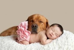 小毛孩吃瓜,小毛孩的夏日瓜趣之旅