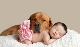 小毛孩吃瓜,小毛孩的夏日瓜趣之旅