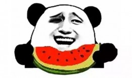 吃瓜群众短剧视频大全