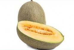 吃哈密瓜会舌头麻,揭秘舌头麻的神秘现象