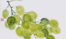 老树瓜 怎么吃,探索传统美食的新境界