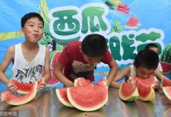 吃瓜群众夏天游戏