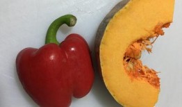 红瓜属可以吃么?,可食用植物的探索之旅