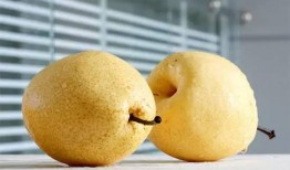 梦见吃小李瓜,揭秘吃小李瓜的神秘寓意