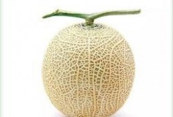 吃瓜这样才过瘾