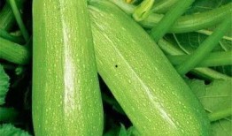 曾泰吃瓜,揭秘娱乐圈幕后真相