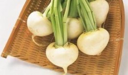 吃白色小瓜拉肚子,揭秘饮食安全与肠胃健康