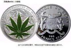 带你吃瓜奇葩硬币,带你探索“带你吃瓜”奇葩硬币的奥秘