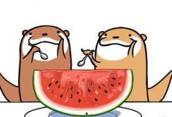 吃吧大口吃吃瓜