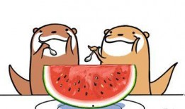 吃吧大口吃吃瓜