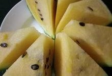 吃瓜专属论坛,网络热议背后的真相与趣味